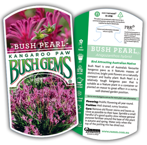 Bush gems bush pearl perth online