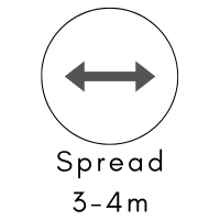logo 3-4