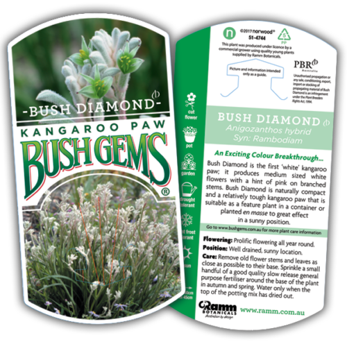 bush diamond buy perth