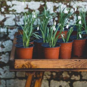 Perth plant nursery