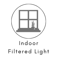 Logo filtered light
